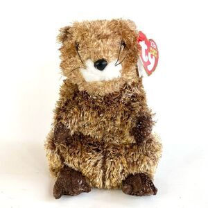 TY Beanie Baby PUNXSUTAWN-e PHIL the Groundhog Internet Exclusive 6” Tall Brown